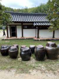  Most of year is Green, Bamboo Forest 