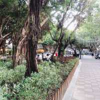 🌳可愛又熱鬧的Yongkang Park 永康公園🌳