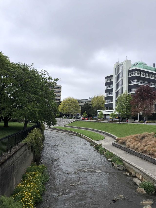 OTAGO UNIVERSITY 