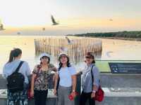 ดูนก ชมพระอาทิตย์ตก…บางปู