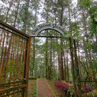 Burying Bad Vibes in Baguio City? 
