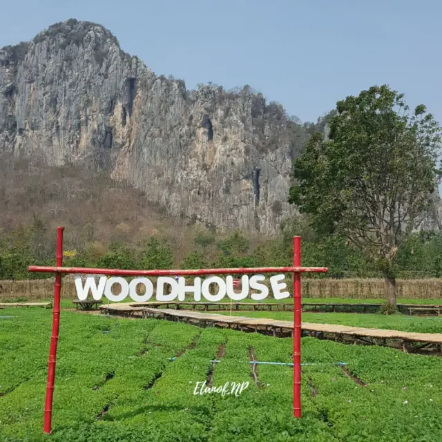 🌻 Woodhouse เขาฉกรรจ์ จ.สระแก้ว 🌻