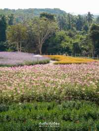 ถ่ายรูปสวยๆกันที่ Floryday Khaoyai🌸🌷