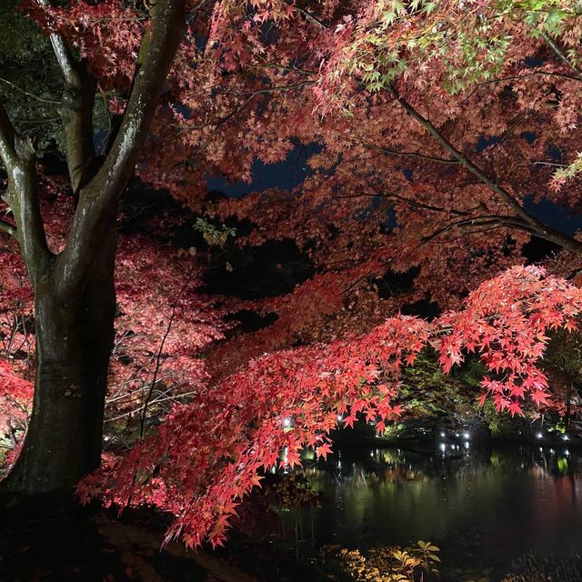 超靚名古屋東山動植物園
