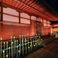 嵐山夜楓@寶嚴院