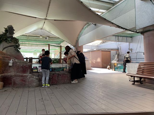 ペンギンの餌やり体験も🐧ふれあい体験がいっぱいの水族館🐟