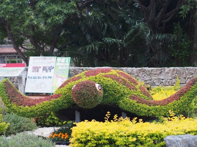 Say Hi to Whale Shark-san