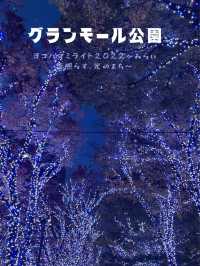 ２０２２年　みなとみらい夜景まとめ
