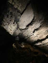 Mammoth Cave National Park