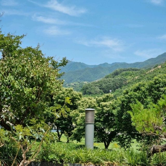하동의 녹음을 녹차와 함께 즐길 수 있는 카페
