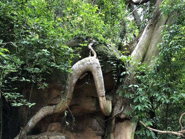 Kbal Spean - Cambodia 