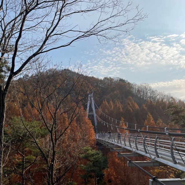 장태산자연휴양림