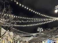 Christmas Lights - Easton Town Center