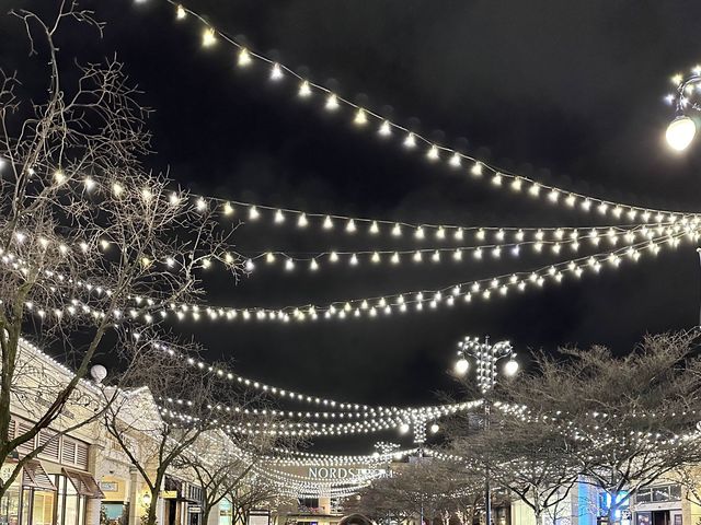 Christmas Lights - Easton Town Center