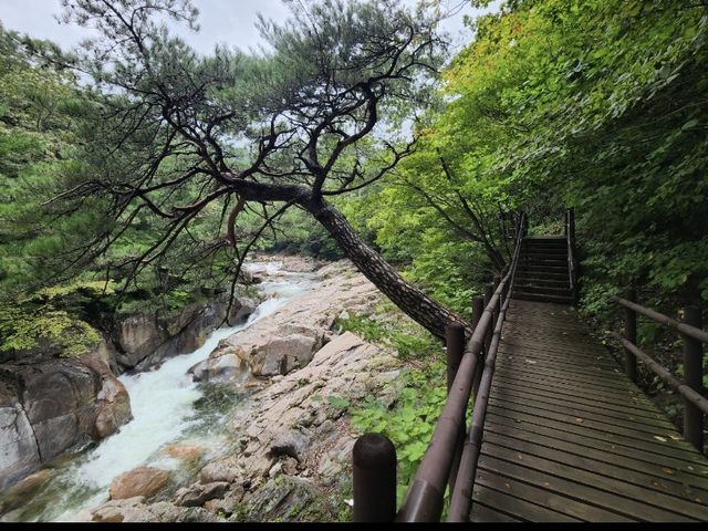 경남의 자연경관 명소_대원사 계곡길 트레킹