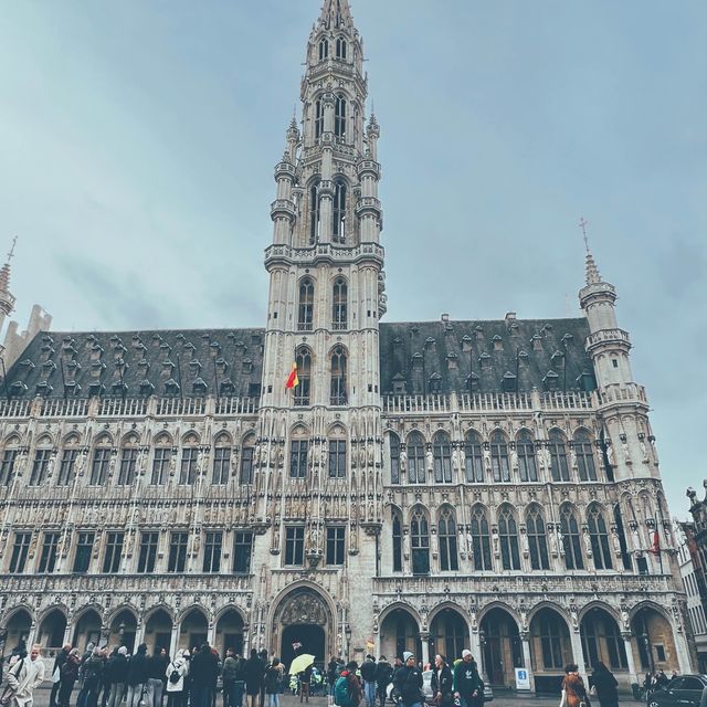 AMAZING BRUSSELS  🇧🇪 