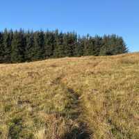 Three Lochs Way-Balloch to Helensburgh 