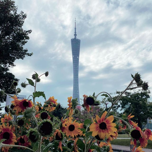 Canton Tower, Guangzhou, 🇨🇳 heritage 