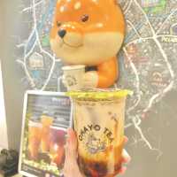 英國曼徹斯特 特色茶飲店 有超可愛嘅柴犬燒