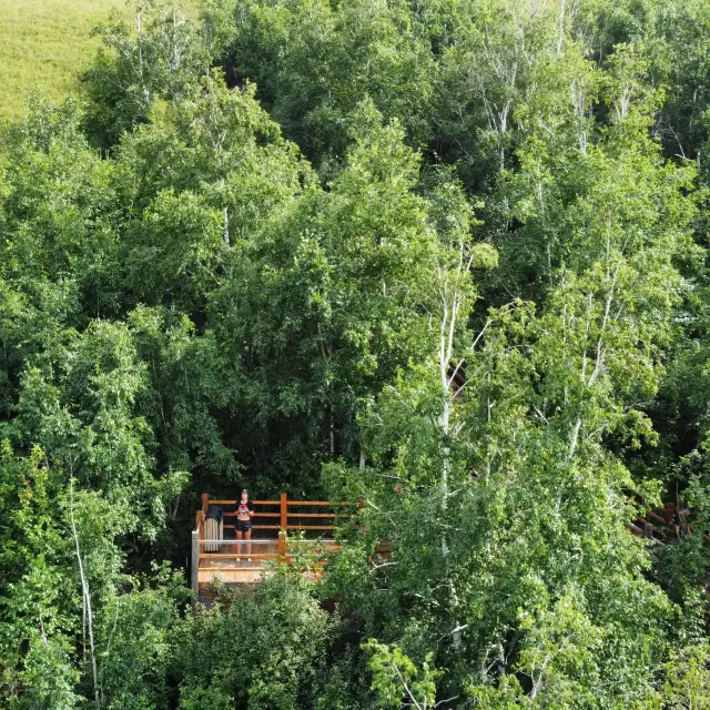 🌳Eergu’Na Wetlands in INNER MONGOLIA