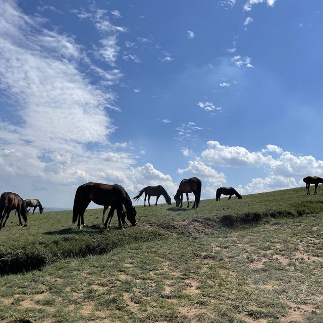 🌋 Volcano Geopark in INNER MONGOLIA