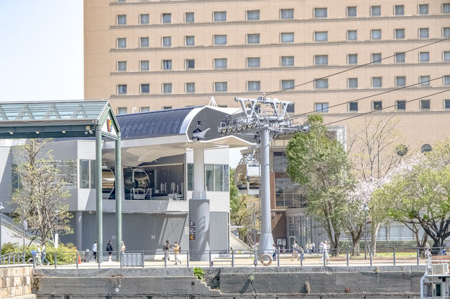 横浜エアーキャビンと桜の花