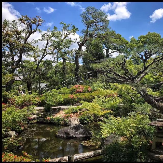 Strolling Around Nara - Japan 