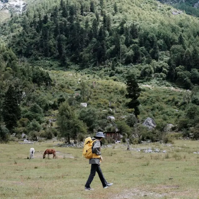 Changping Valley - Sichuans wonderful 'Alps'