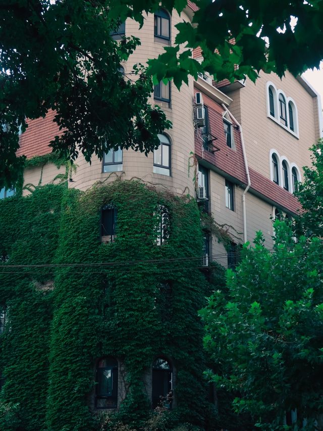 Beautiful Building on Yongjia Lu🌱🌿