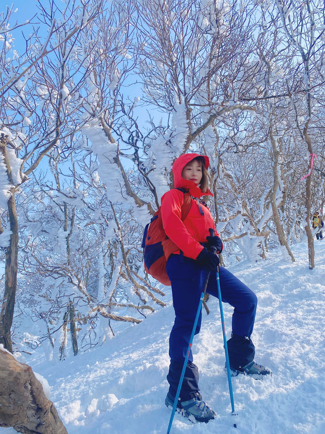 Snow Mountain - Departure from Osaka, return to Shiga Mianxiang Mountain.