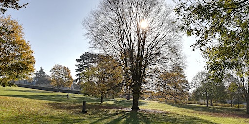 Morning Movers 1 of 2 | Mary Stevens Park - Activity Centre