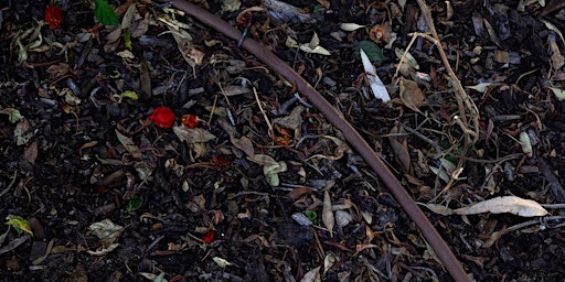 Think like a worm | Inglewood & Mt Lawley Community Garden