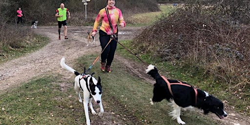Canicross Discovery Day For Animal Therapists | GL51 0TW
