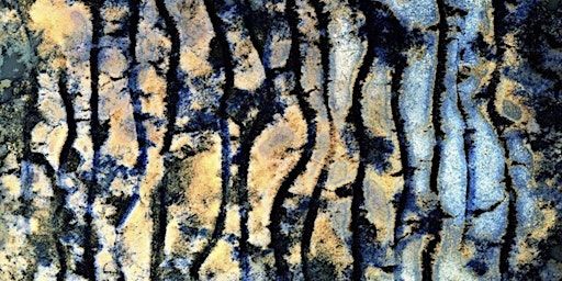 The Waters of Sulis & Beyond river walk & creative workshop | Newark Works