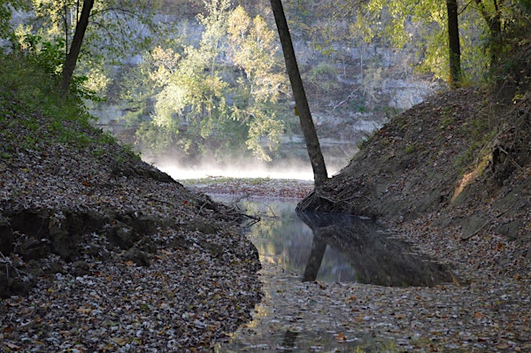 Golden Hour Hike to the Kentucky River | Floracliff Nature Sanctuary