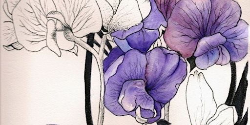Evening Art Workshop- Watercolour And Fineliner | Former Rudolf Steiner School