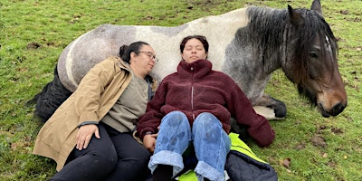 Meditate With Horses | Skelwith Fold