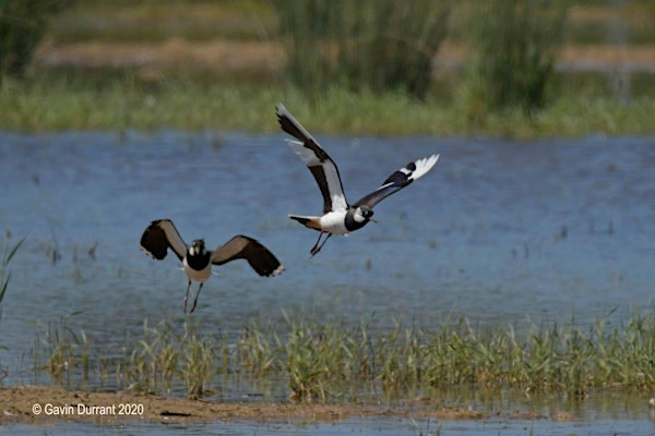 Winter Guided Walk at Carlton Marshes (ECC2816) | Carlton Marshes Nature Reserve & Visitor Centre