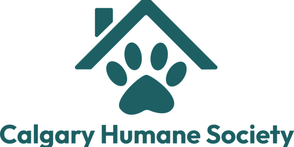 PD Day Camp (CBE) November 12th | Calgary Humane Society