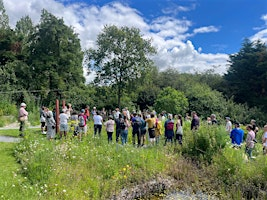 Hilldrop Open Day - Sunday July 5th 2026 | The Grass Roof Co