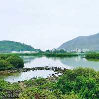一條梵音裊裊的密林小路