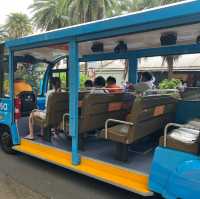 Sentosa Beach Shuttle