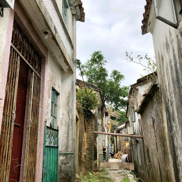 荔枝窩村