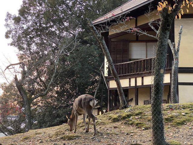 秋、夕暮れ、浮見堂