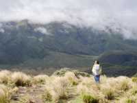 The Top Experiences of North Island, NZ 