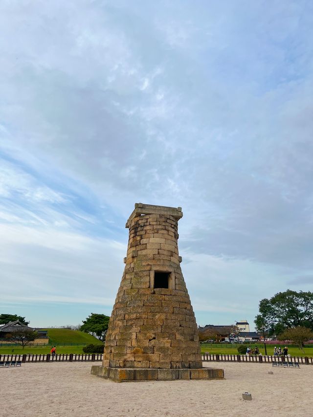 경주 '첨성대' 핑크뮬리 시즌 방문