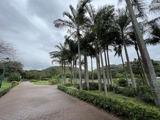 散步迪欣湖⛱