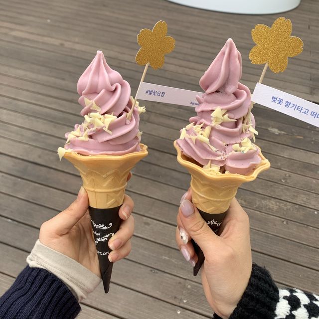 [서울 벚꽃을 한눈에 담는 ‘N서울타워’]