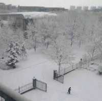 Shenyang Ligong University (沈阳理工大学)