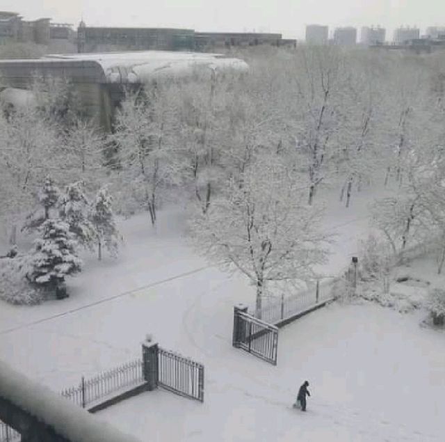 Shenyang Ligong University (沈阳理工大学)